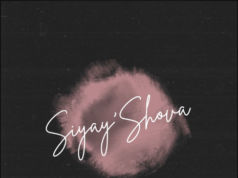 LeeMcKrazy, Springle, Pushkin, Musical Soulz – Siyay’Shova