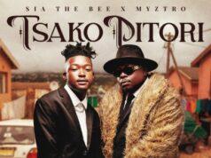 Myztro, Sia_TheBee, ShaunMusiq & BigBaller_Ceo – Wadi wave from Ghana Ft. Dimphowadiwave