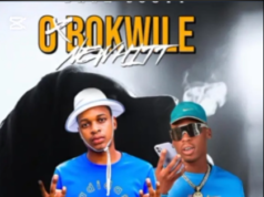 Dhem Scott – O Bokwile